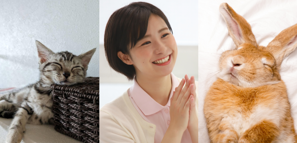 介護士と愉快な仲間達