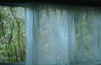 怖い雰囲気の写真