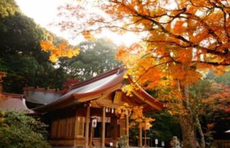 福岡県行橋市の介護施設や訪問介護サービス