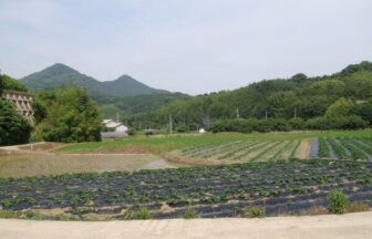 福岡県糟屋郡新宮町の介護施設や訪問介護サービス