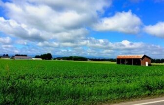 福岡県糟屋郡宇美町の介護施設や訪問介護サービス