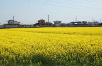 福岡県遠賀郡遠賀町の介護施設や訪問介護サービス